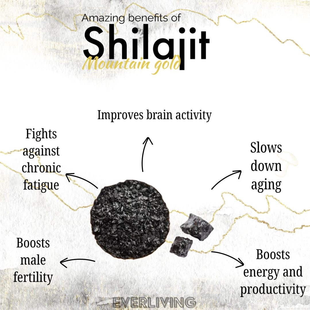 Elevate Your Wellness Journey with EverLiving's Liquid Himalayan Shilajit: Nature's Miraculous Elixir