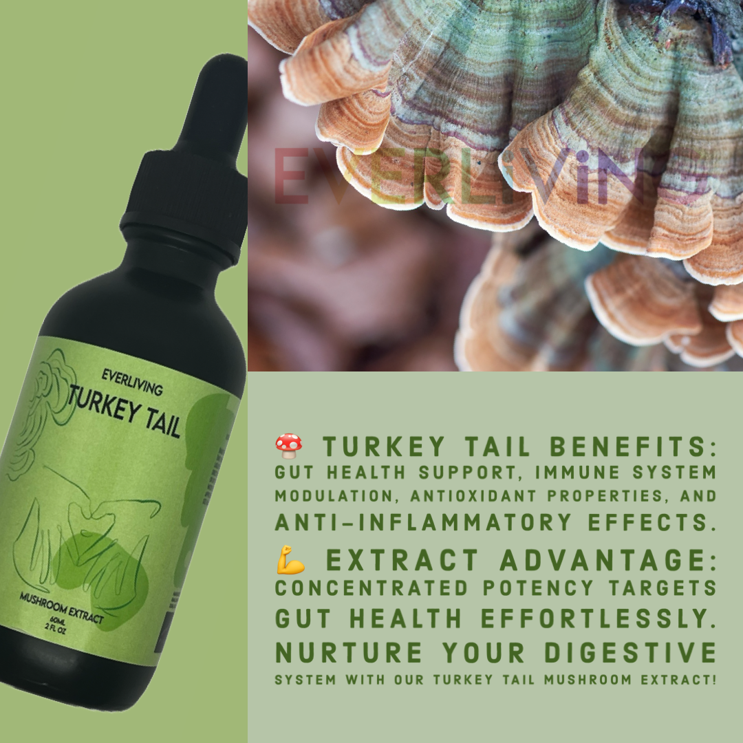 Turkey Tail Mushroom Extract 60ML (2 FL OZ)