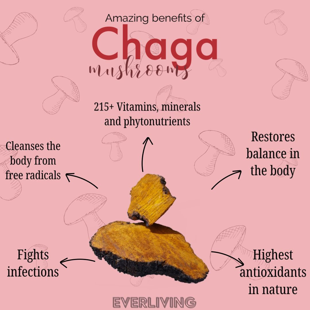 Chaga Mushroom Extract 60ML (2 FL OZ)