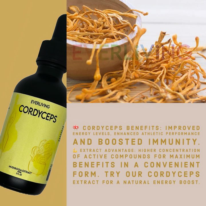 Cordyceps Mushroom Extract 60ML (2 FL OZ)