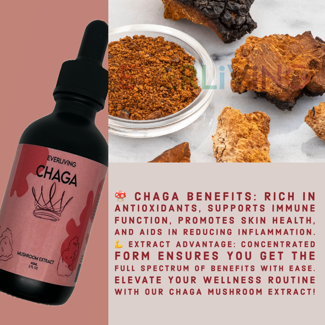 Chaga Mushroom Extract 60ML (2 FL OZ)