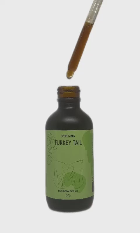 Turkey Tail Mushroom Extract 60ML (2 FL OZ)